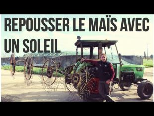 Repousser le maÏs avec un soleil !