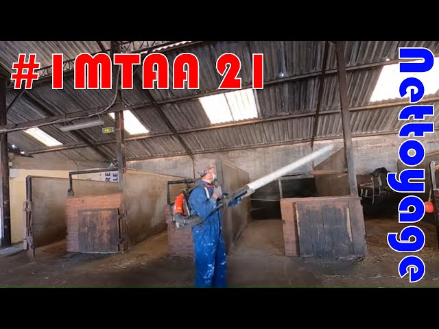 Nettoyage des écuries : #imtaa 21