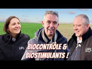 Comment les biosolutions boostent vos céréales sans produits chimiques classiques ! 👀