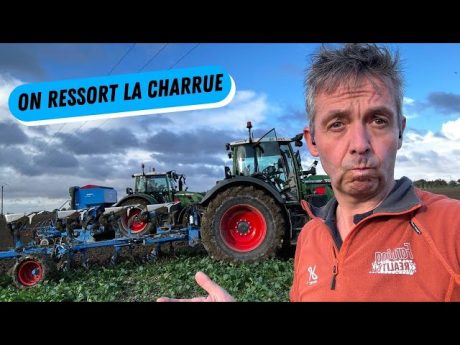 Semis de blé entre les gouttes ????