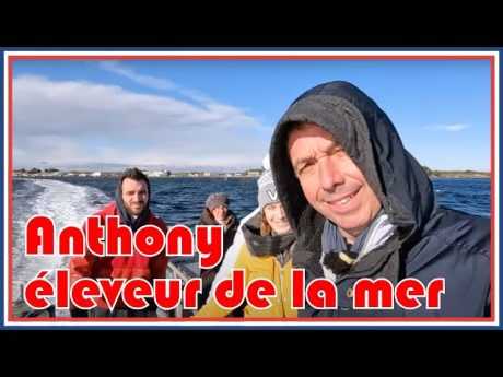 #cft 5 : Élevage des huitres de tarbouriech