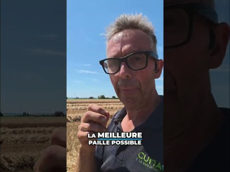 Évitez au maximum la paille trop courte ! 🌾