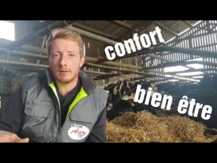13 octobre 2017