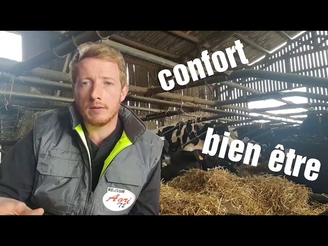 13 octobre 2017