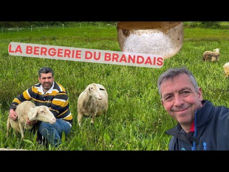 Le seul producteur de fromage au lait de brebis de vendée : la plus belle ferme de france 2024/3