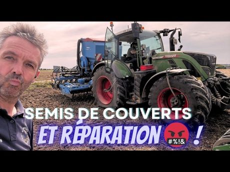 Semis des couverts d’interculture !
