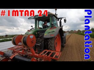 Plantation des salades #imtaa 24