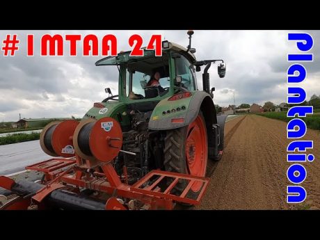 Plantation des salades #imtaa 24
