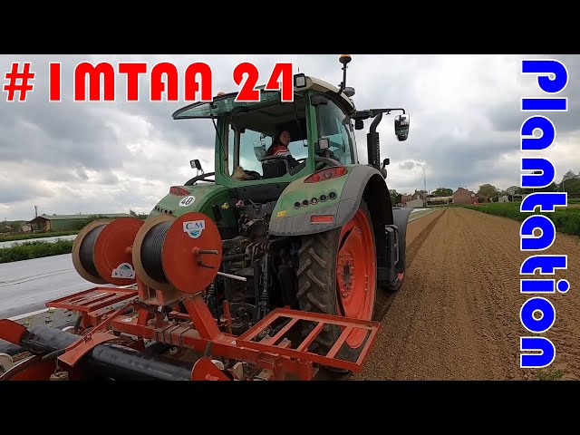 Plantation des salades #imtaa 24