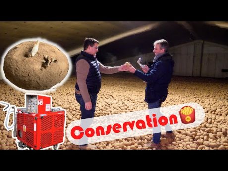 Pommes de terre 🥔 conservation et stockage 🍟