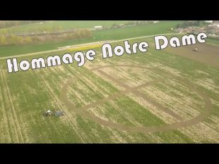 Hommage à notre dame de paris
