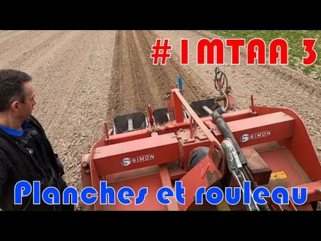 Préparation des planches à carottes et roulage des pois #imtaa episode 3