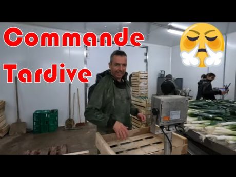 Une matinée à poireaux