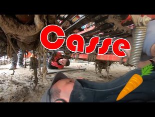 Ça passe 🌧 mais ça casse ❌, arrachage des carottes: fin ??