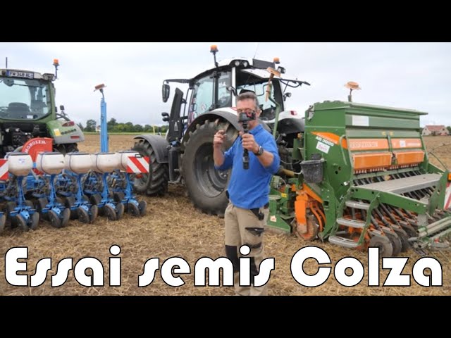 Essai semis colza es capello avec plante compagne ou alicia.