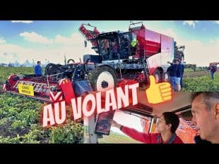 Récolte de pdt 🥔 avec une nouvelle automotrice enduro gen 2 dewulf