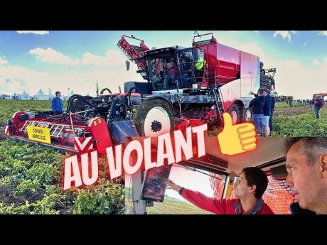 Récolte de pdt 🥔 avec une nouvelle automotrice enduro gen 2 dewulf