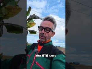 Mais c’est quoi cette betterave ?! 
