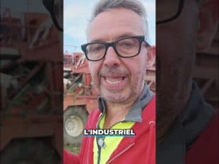 Pourquoi récolter les haricots la nuit ? 🌚