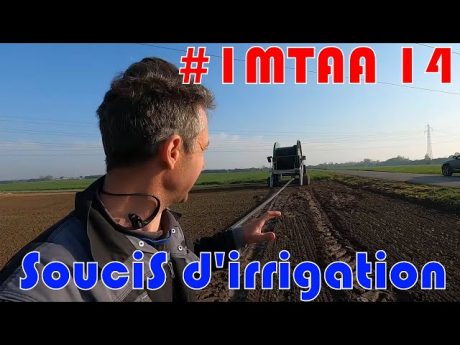 Désherbage betterave et soucis d’irrigation …#imtaa 14