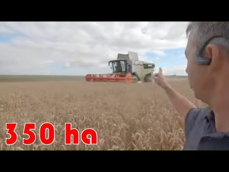 Organisation moisson 350 ha en cuma 1 machine