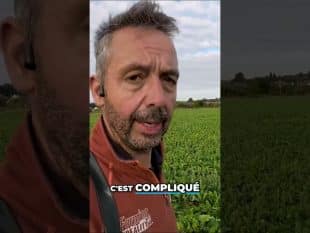 Quel était mon avis sur la loi duplomb ? 🤔