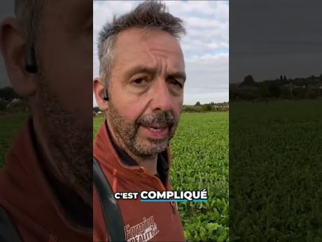 Quel était mon avis sur la loi duplomb ? 🤔