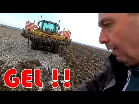 Travail sur sol gelé ! aprés poireaux …