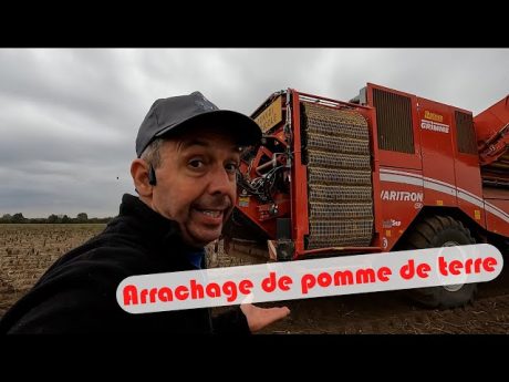 J’ai la patate !