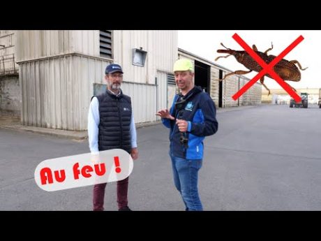 Stockage et désinsectisation biologique de céréales chez soufflet agriculture #cofarmingtour