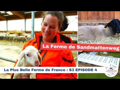 La ferme de sandmattenweg ???????? la plus belle ferme de france