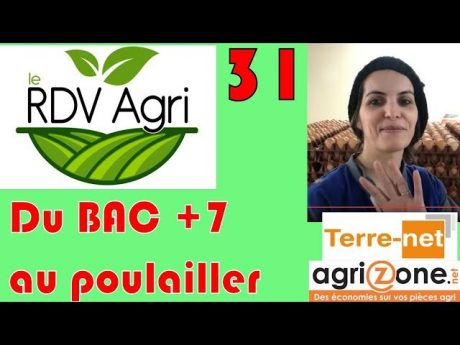 Plein les y&rsquo;oeufs les jolies rousses rdv agri n° 31