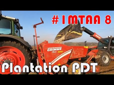 Plantation de pomme de terre #1mtaa 8