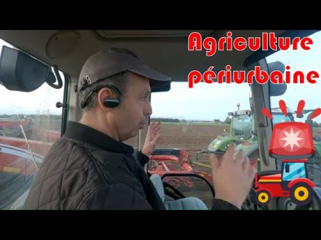 ⛔par où je passe ? agriculture périurbaine pas toujours facile à vivre😡 …