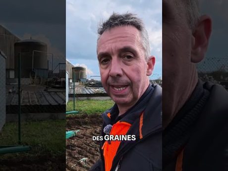 Une nouvelle machine pour les poireaux ! 🚜