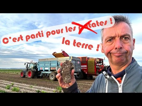 Début des arrachages de motte de terre ou de patates ????