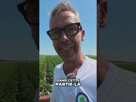 Pas facile de gérer la pression… 😮💨