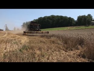 Rôle agronomique du pneu : c’est prouvé scientifiquement ! épisode 9