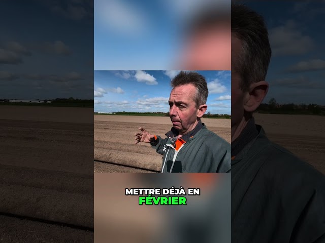 Terre idéale & plantation: le secret des récoltes du nord de la france ! #shorts