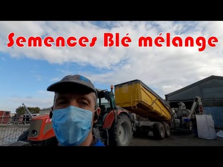 Triage de blé en mélange et présentation #danslesbottes