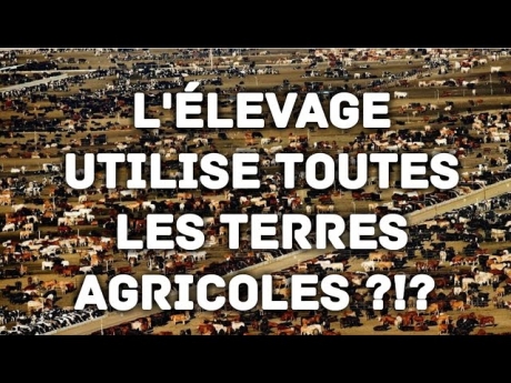 L’Élevage utilise toutes les terres agricoles ?!?