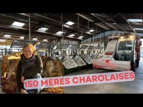 Une ferme expérimentale portée sur l&rsquo;alimentation des bovins : la plus belle ferme de france 2024/2