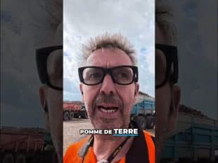 Tout sur le tri des betteraves ! 👀