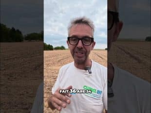 Orge : le biostimulant améliore t il le rendement ? #shorts