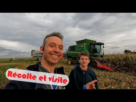 Récolte du mais 🌽 et visite de la ferme avec martin