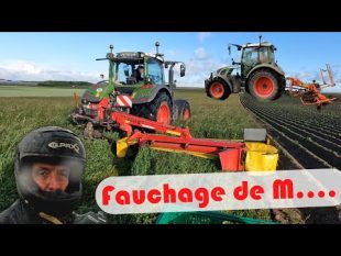 Un fauchage sous la pluie pas prévue et la suite… #vlogtaa