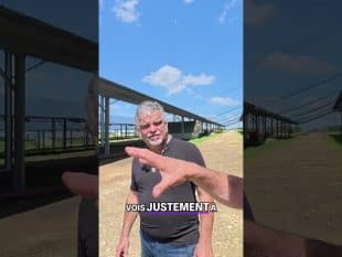 Bien être animal: impact sur la volaille et l’éleveur