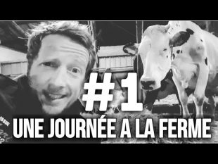 Une journÉe a la ferme #1