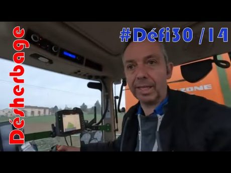 Aujourd&rsquo;hui je désherbe mes betteraves : #défi30 /14