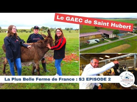 Le gaec de saint hubert ???????? la plus belle ferme de france